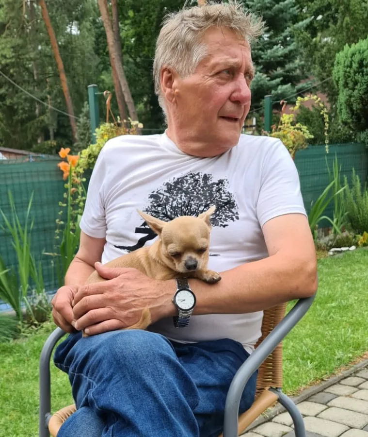 Zdjęcie: Piesek Chihuahua 