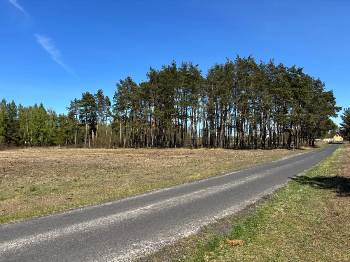 Zdjęcie: Działka budowlano-usługowa 15100m2, Gąba, BEZPOŚREDNIO