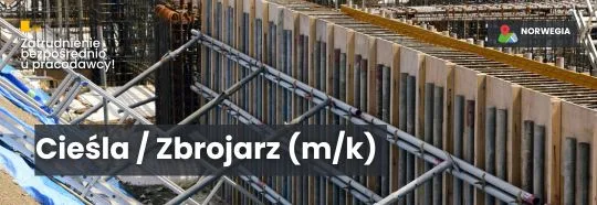 praca Norwegia. 🔹 Cieśli szalunkowych (m/k) 🔹 Zbrojarzy 