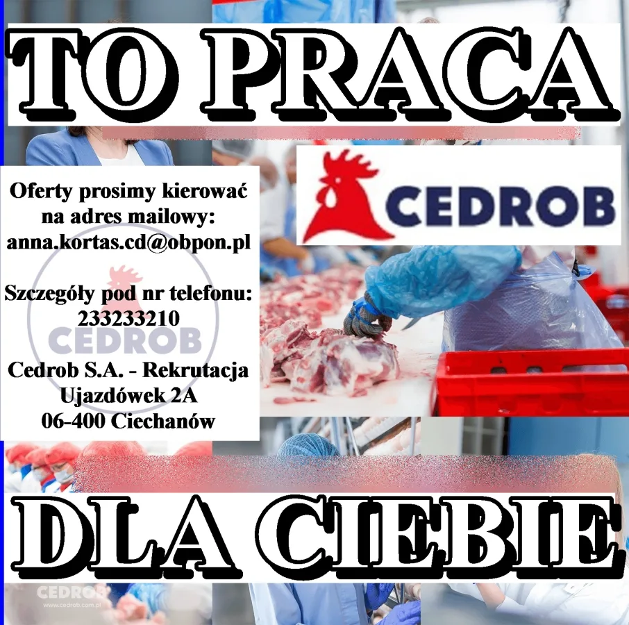 Pracownik utrzymania ruchu/elektryk K/M Tulce Cedrob S.A