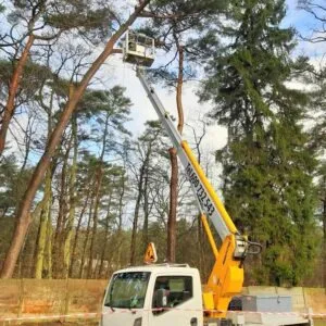 Zdjęcie: Wynajem podnośnika